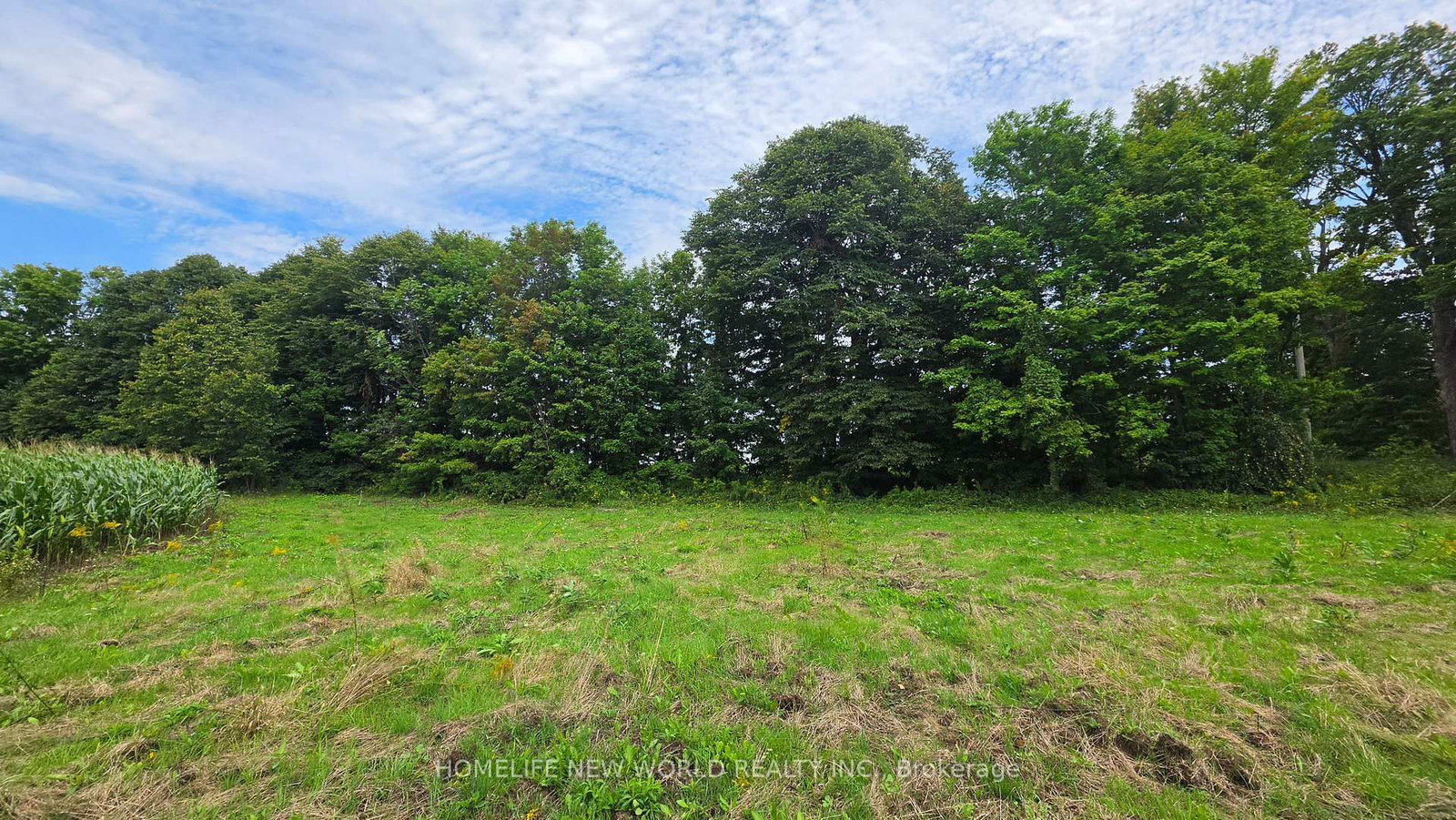 814 THOMASBURG Road • Madoc, ON photo 35