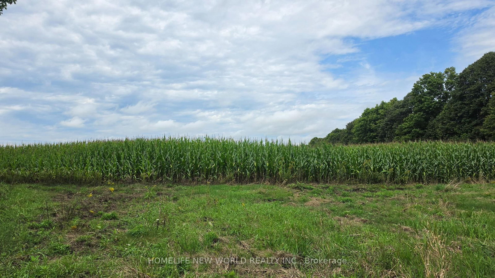 814 THOMASBURG Road • Madoc, ON photo 36