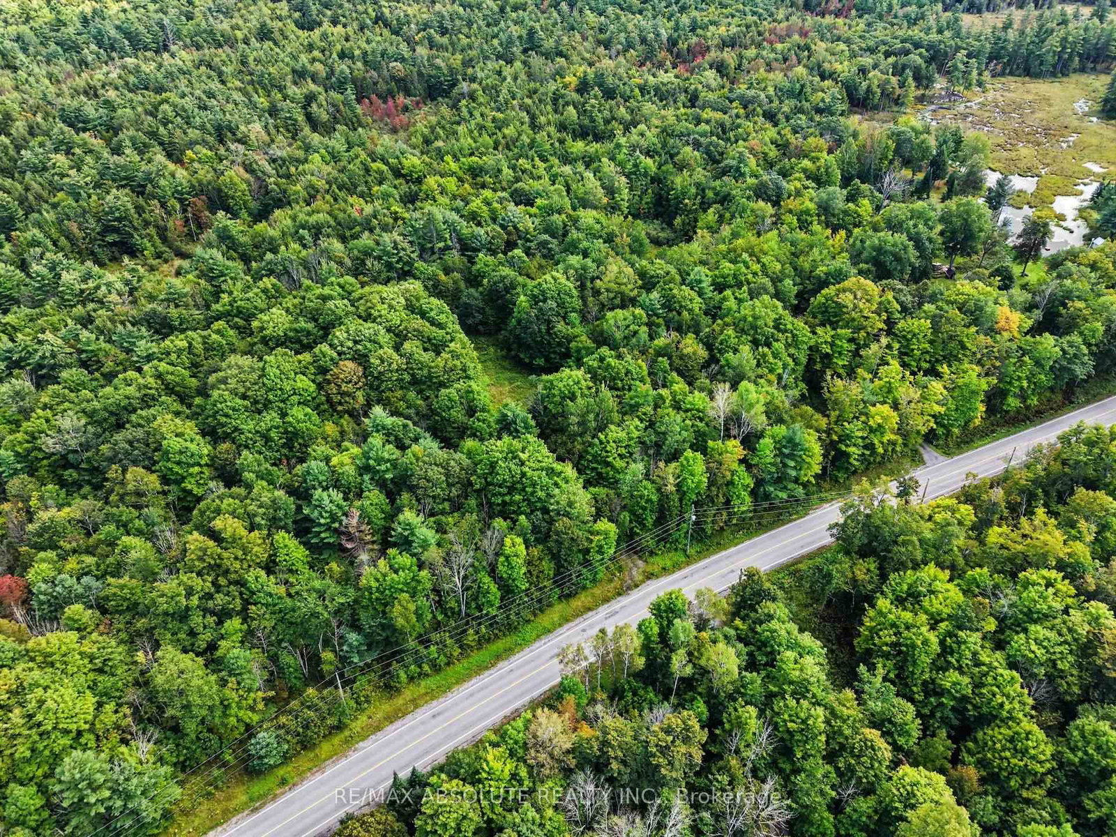 2818 Bellamy Road • White Lake, ON photo 1