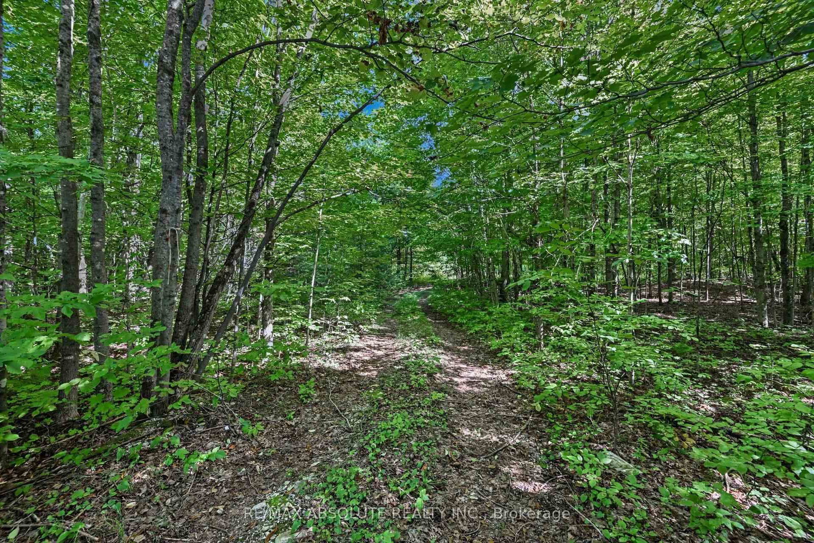 2818 Bellamy Road • White Lake, ON photo 10