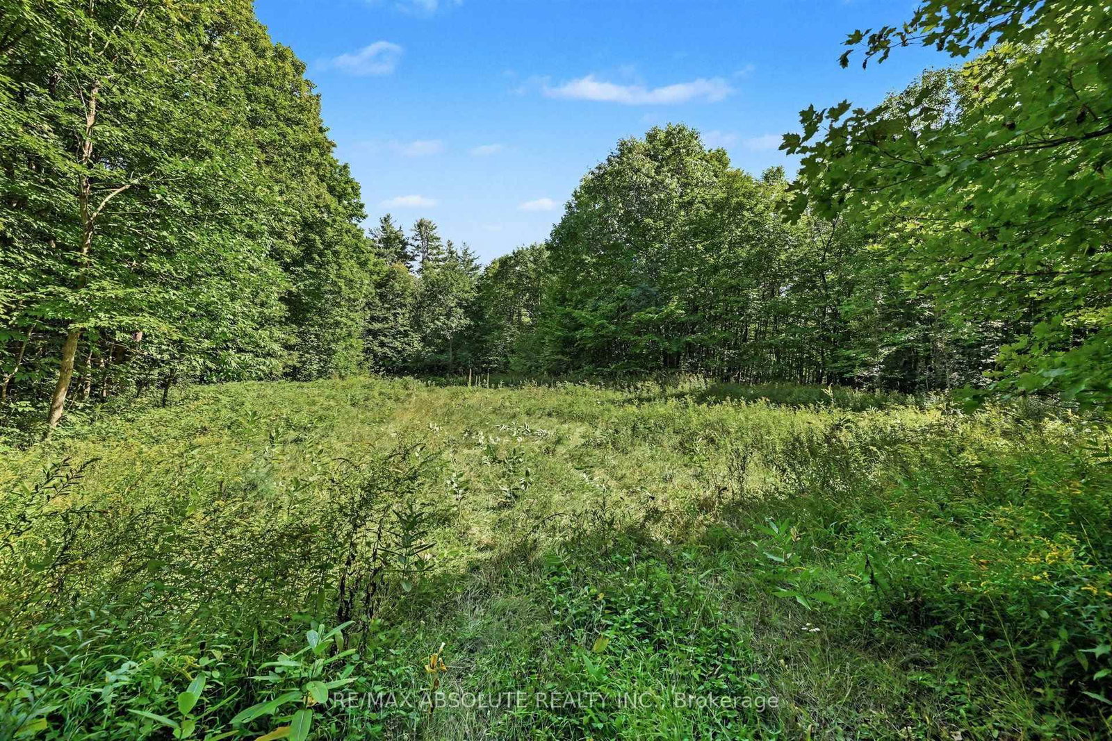 2818 Bellamy Road • White Lake, ON photo 11