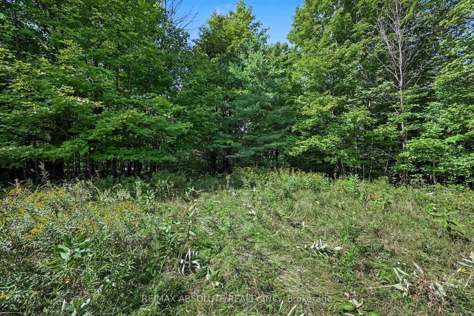 2818 Bellamy Road • White Lake, ON photo 12