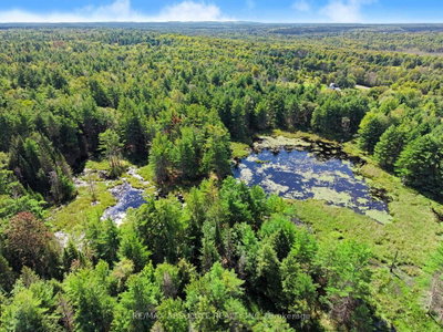 2818 Bellamy Road • White Lake, ON photo 3