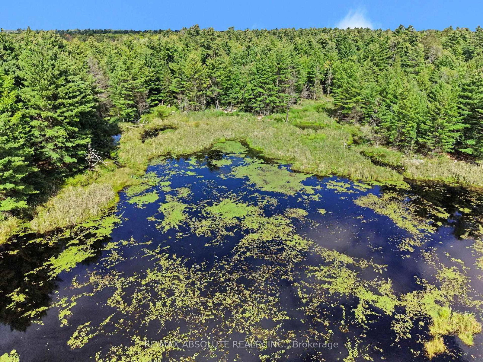 2818 Bellamy Road • White Lake, ON photo 5