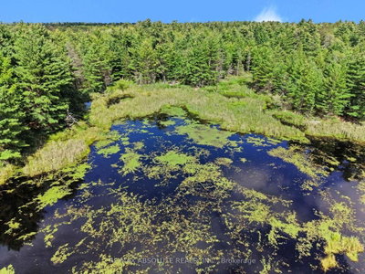 2818 Bellamy Road • White Lake, ON photo 5