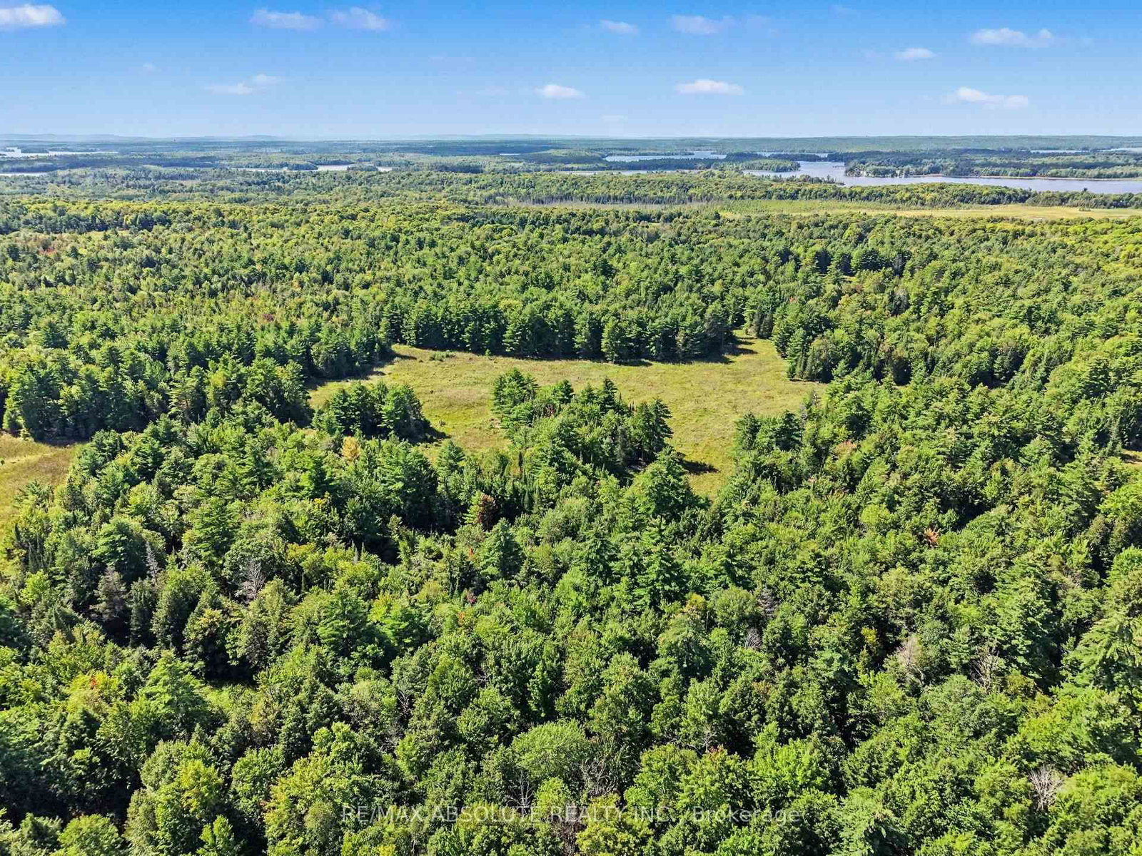 2818 Bellamy Road • White Lake, ON photo 6
