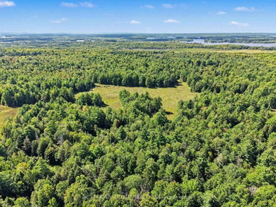 2818 Bellamy Road • White Lake, ON photo 6