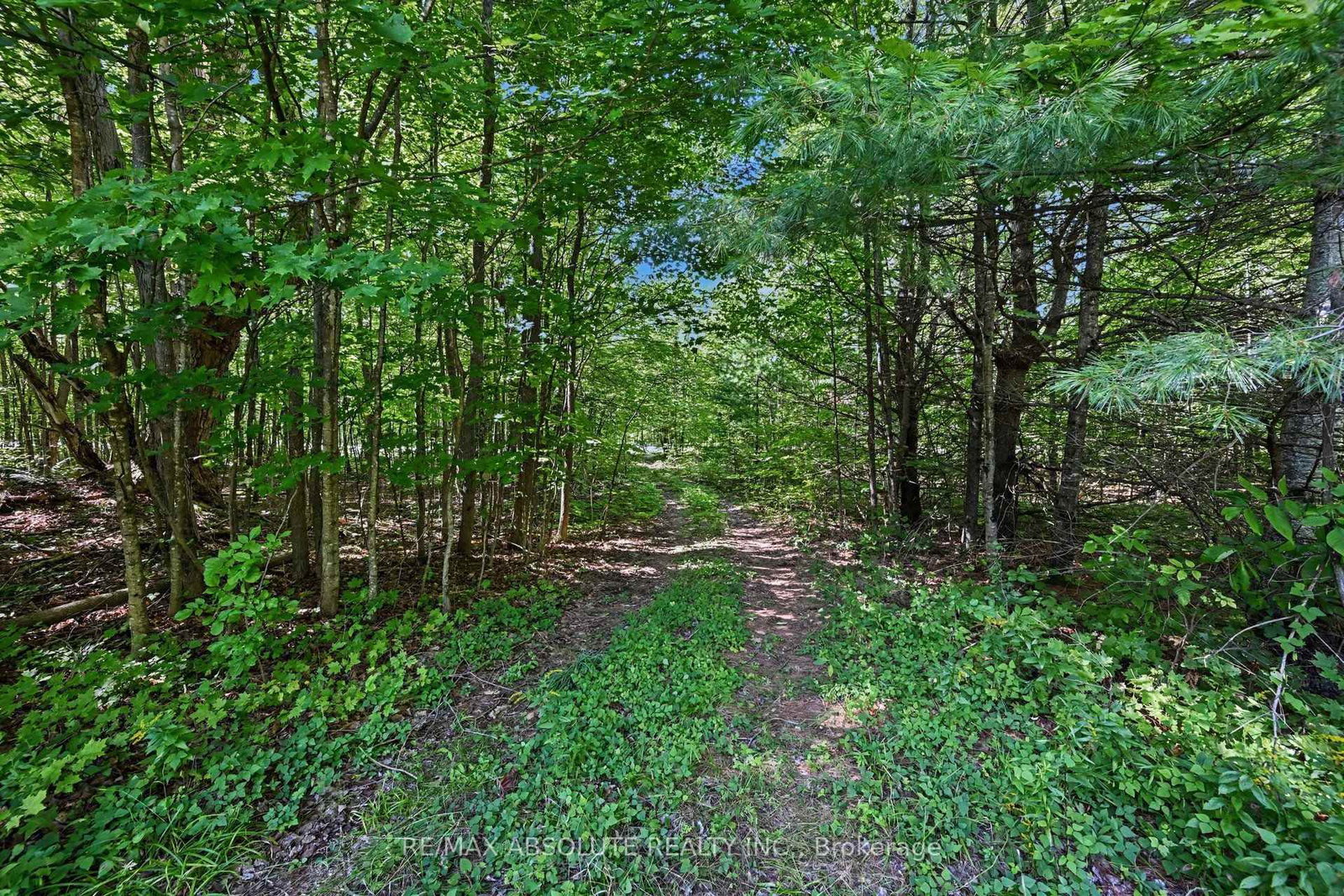2818 Bellamy Road • White Lake, ON photo 8