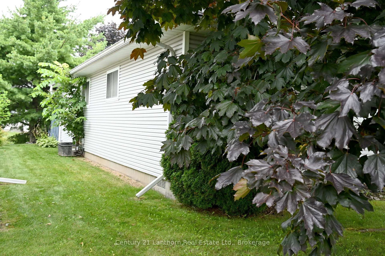 1 Reynolds Place N • Prince Edward County, ON photo 9