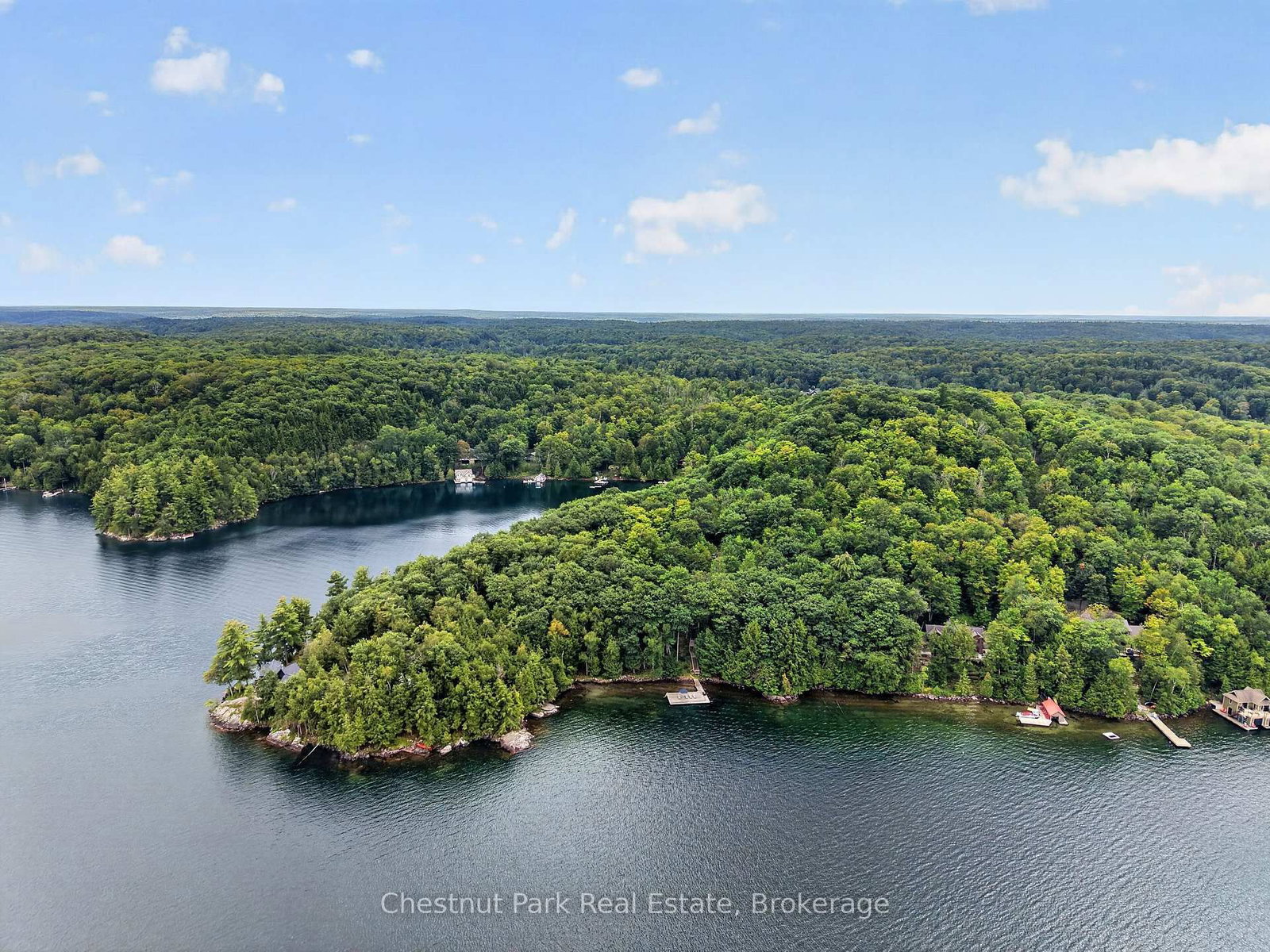 1119 - 28 Skeleton Lake 2 Rd Road • Muskoka Lakes, ON photo 1