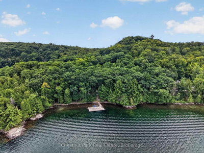 1119 - 28 Skeleton Lake 2 Rd Road • Muskoka Lakes, ON photo 2