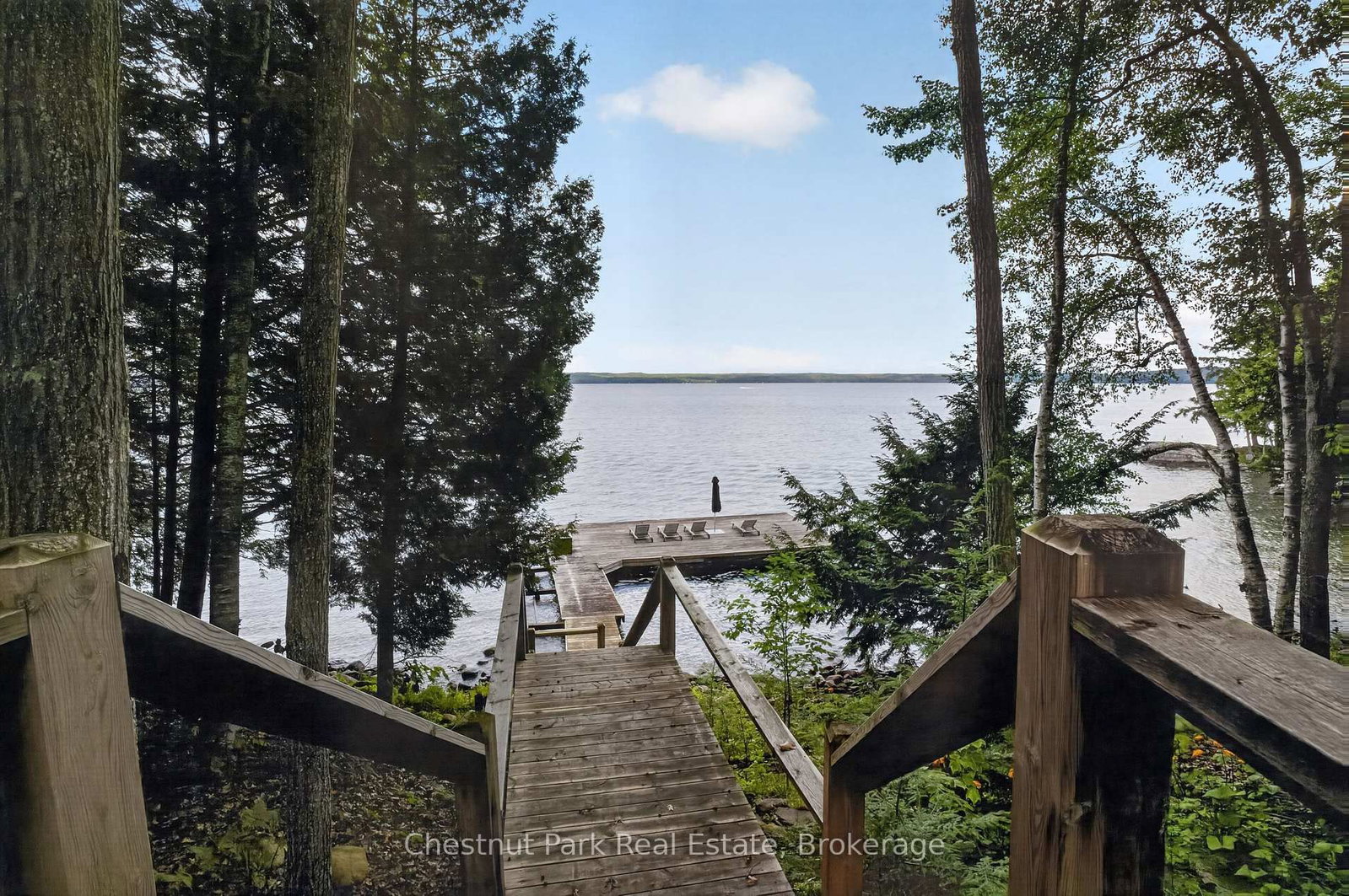 1119 - 28 Skeleton Lake 2 Rd Road • Muskoka Lakes, ON photo 3