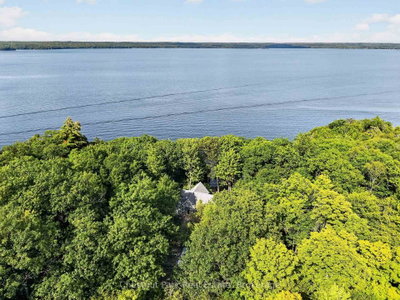 1119 - 28 Skeleton Lake 2 Rd Road • Muskoka Lakes, ON photo 4