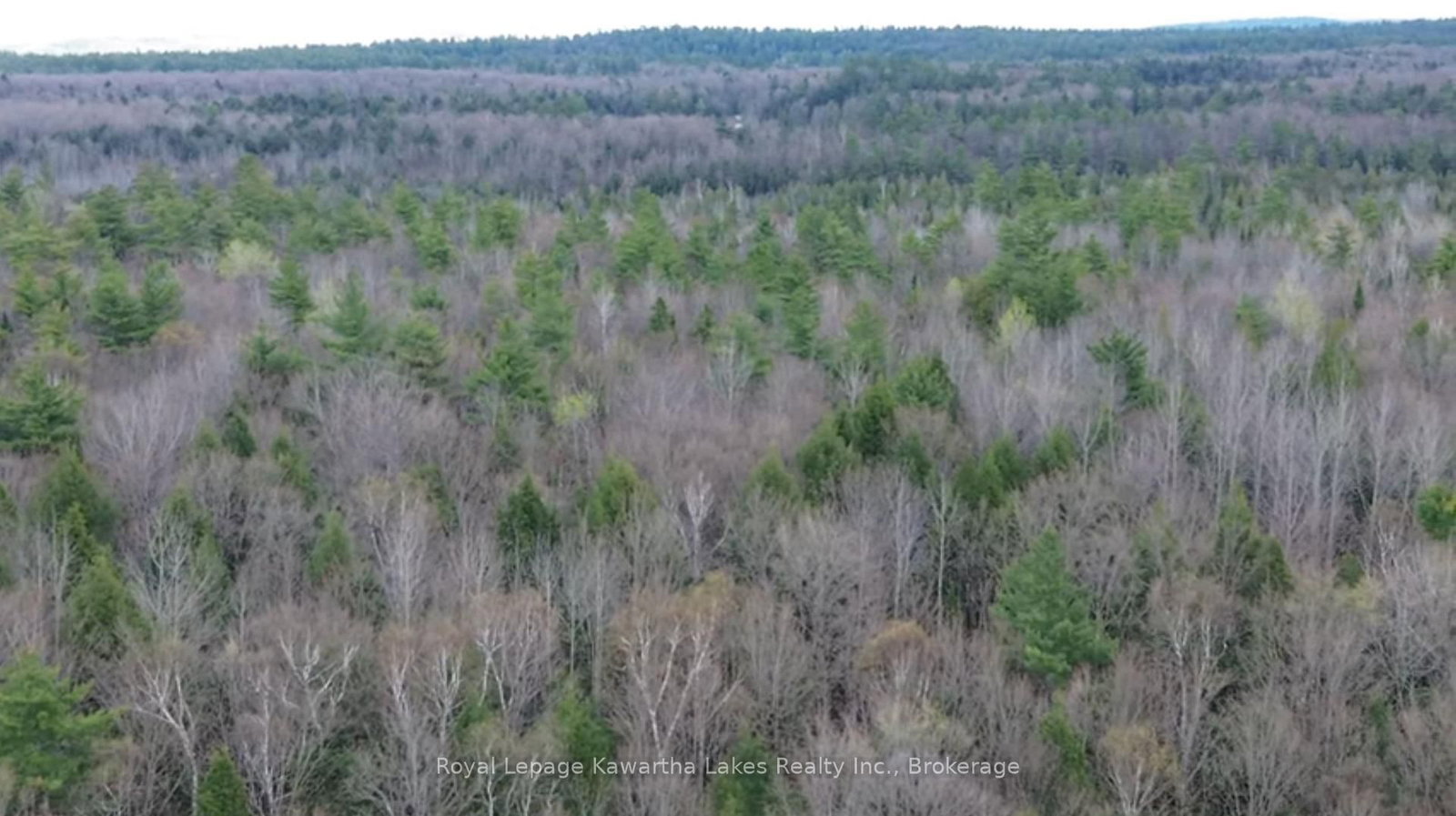 0 CRYSTAL LAKE Road • Trent Lakes, ON photo 14