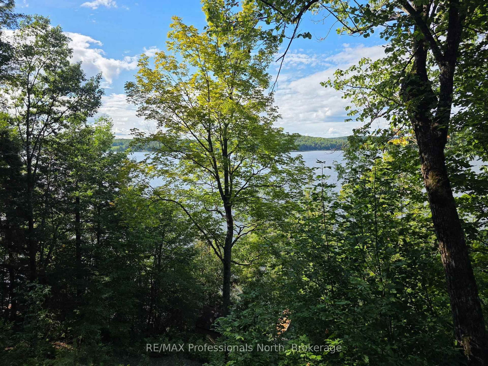 1258-2 Windemere Road • Muskoka Lakes, ON photo 36