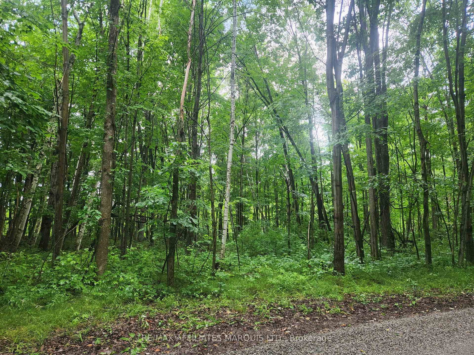 000 Cedar Sands Road Way • Rideau Lakes, ON photo 1