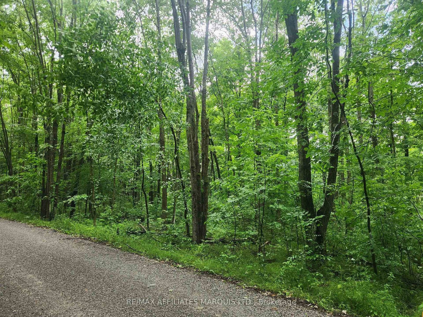 000 Cedar Sands Road Way • Rideau Lakes, ON photo 2