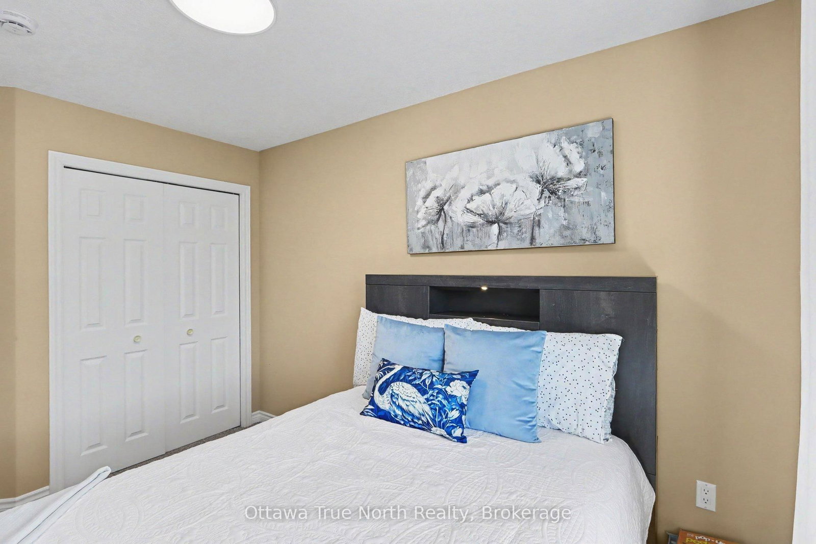 514 Stanley Brothers Street • Almonte, ON photo 21