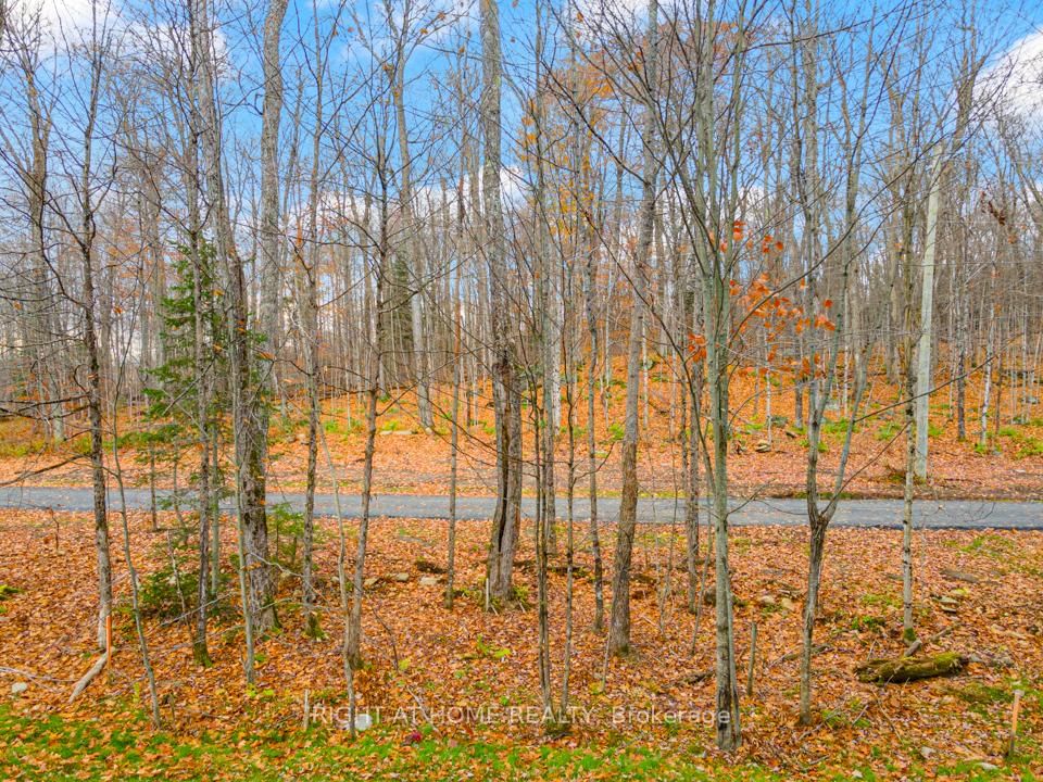 18 Campus Trail • #107 • Huntsville, ON photo 20