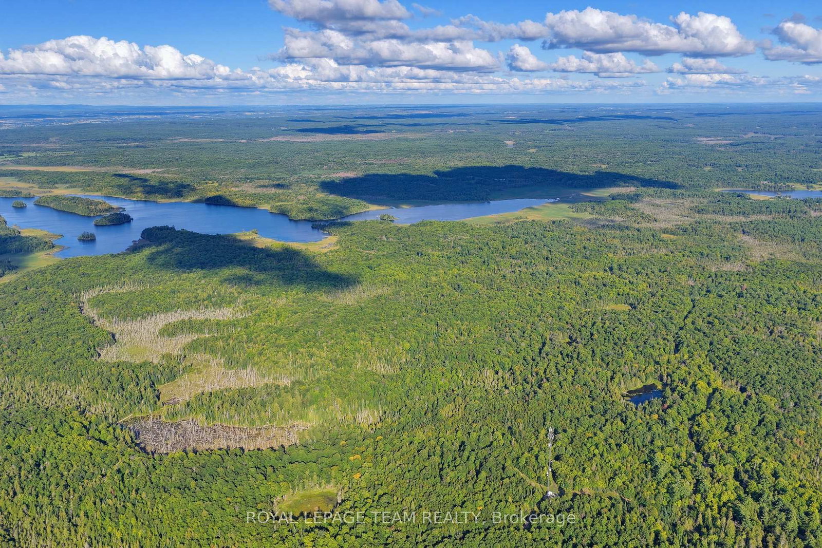 000 Windy Point Side Road • White Lake, ON photo 11