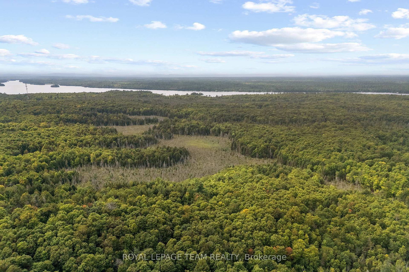 000 Windy Point Side Road • White Lake, ON photo 17