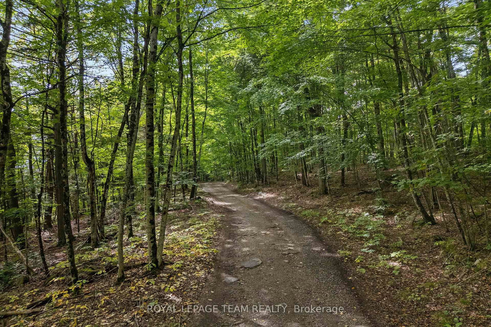 000 Windy Point Side Road • White Lake, ON photo 19