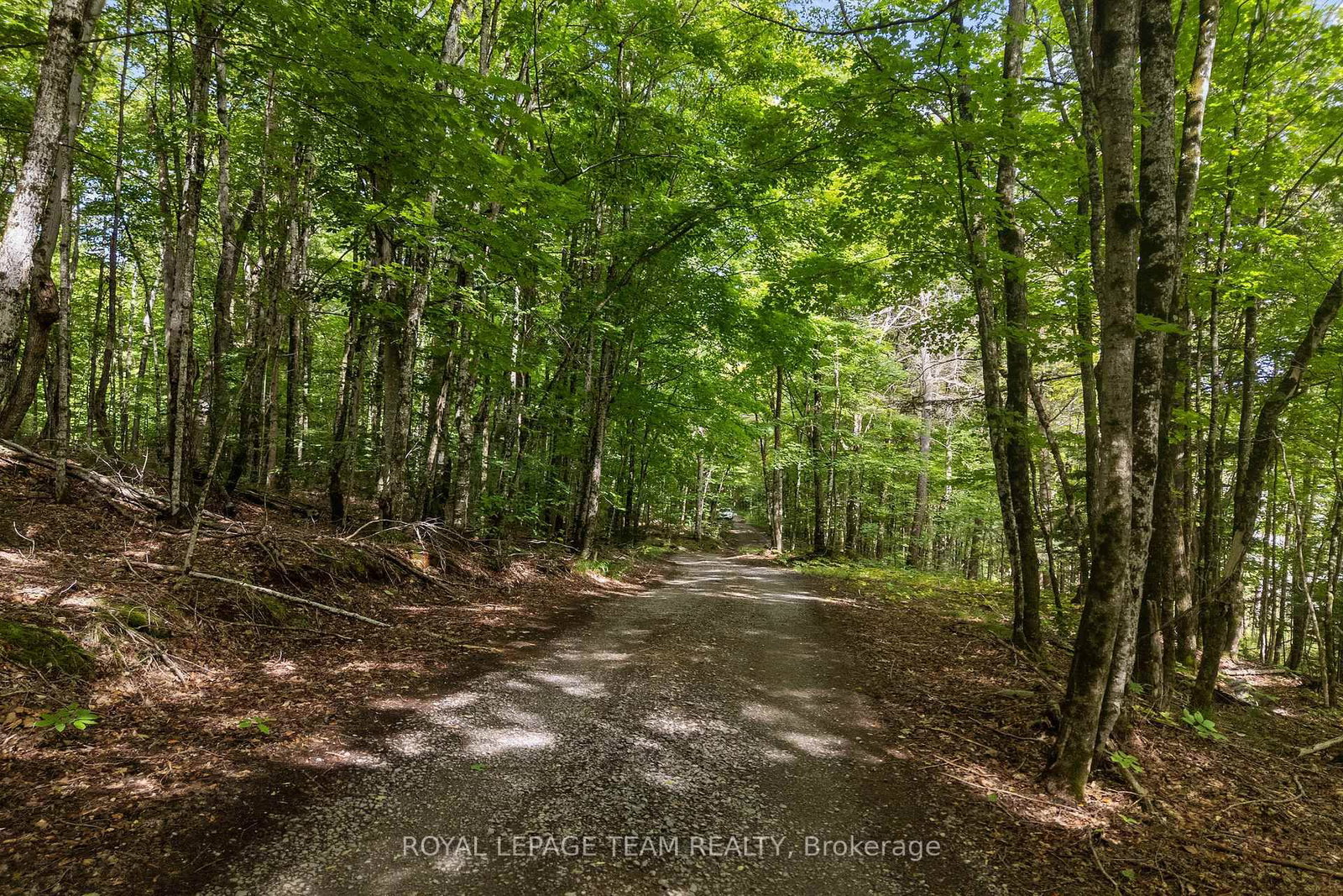 000 Windy Point Side Road • White Lake, ON photo 20