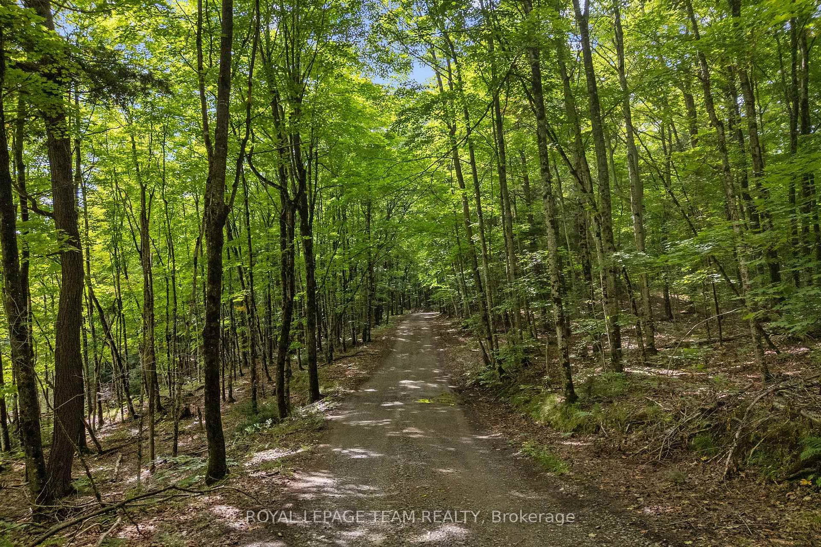 000 Windy Point Side Road • White Lake, ON photo 21