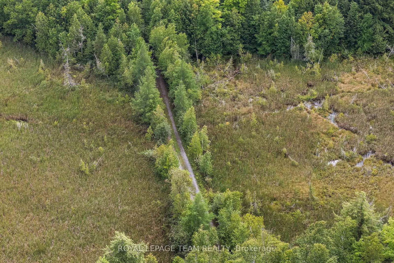 000 Windy Point Side Road • White Lake, ON photo 6