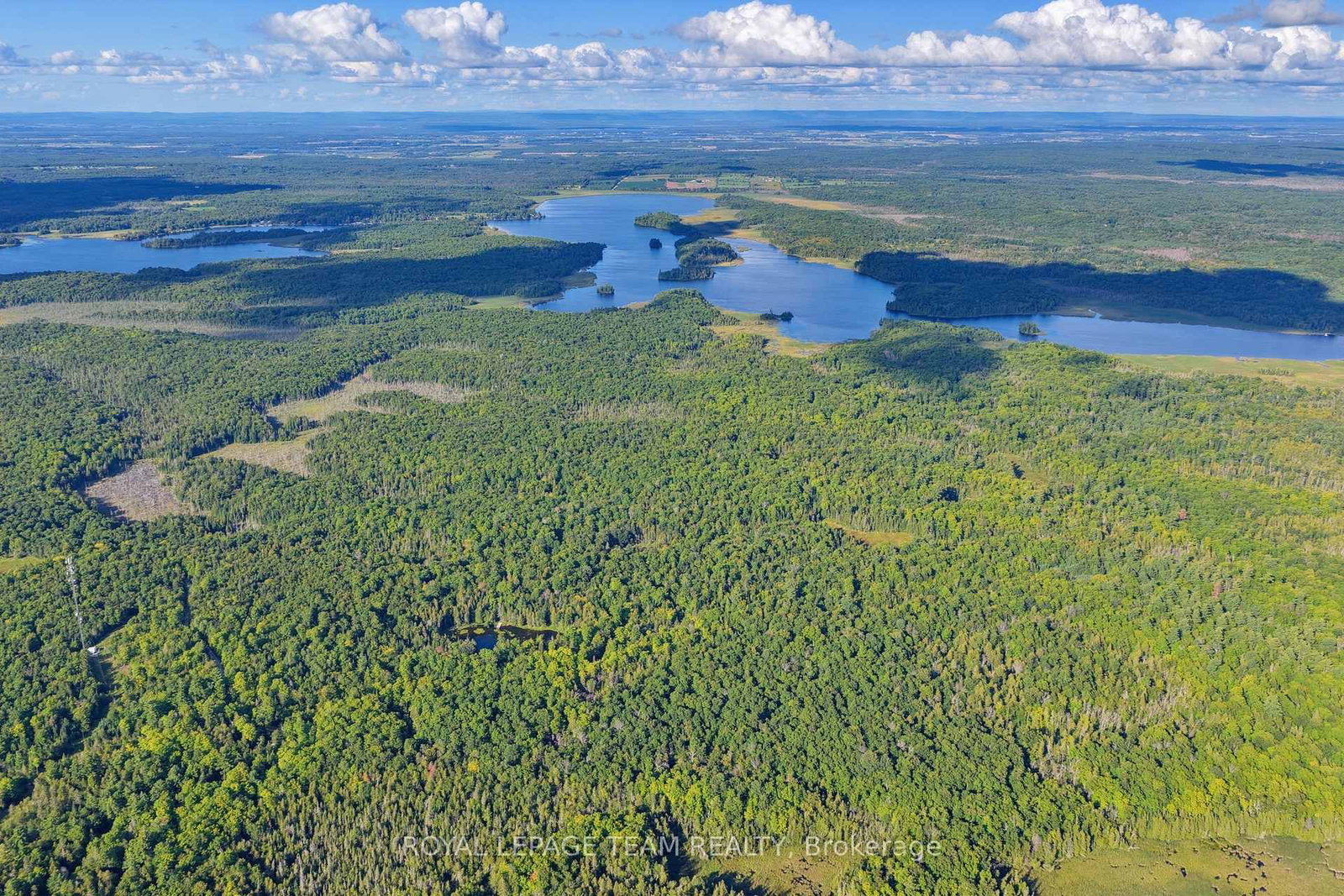 000 Windy Point Side Road • White Lake, ON photo 9