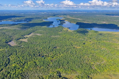 000 Windy Point Side Road • White Lake, ON photo 9