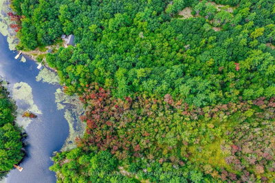 PT LT 22 Con 10 Sheffield Long Lake • Stone Mills, ON photo 4