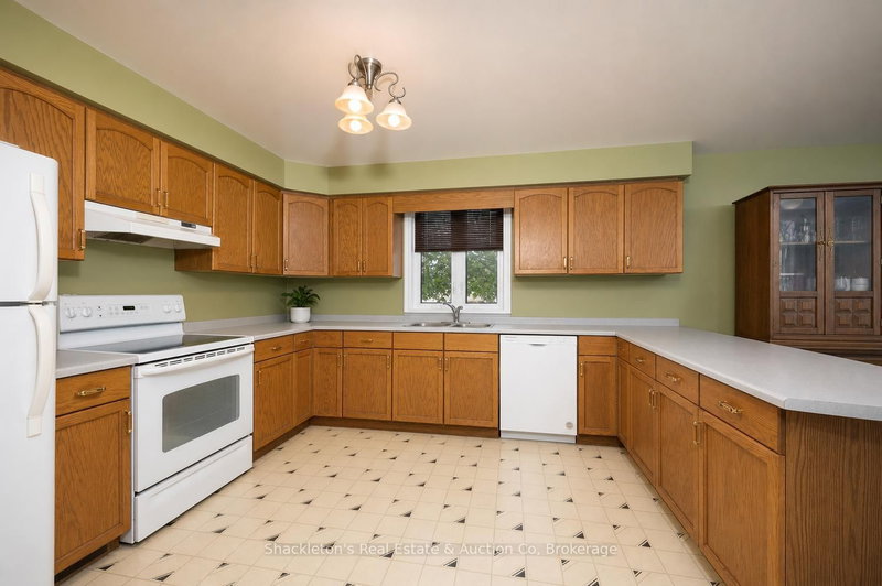 44 Blenheim St photo 4