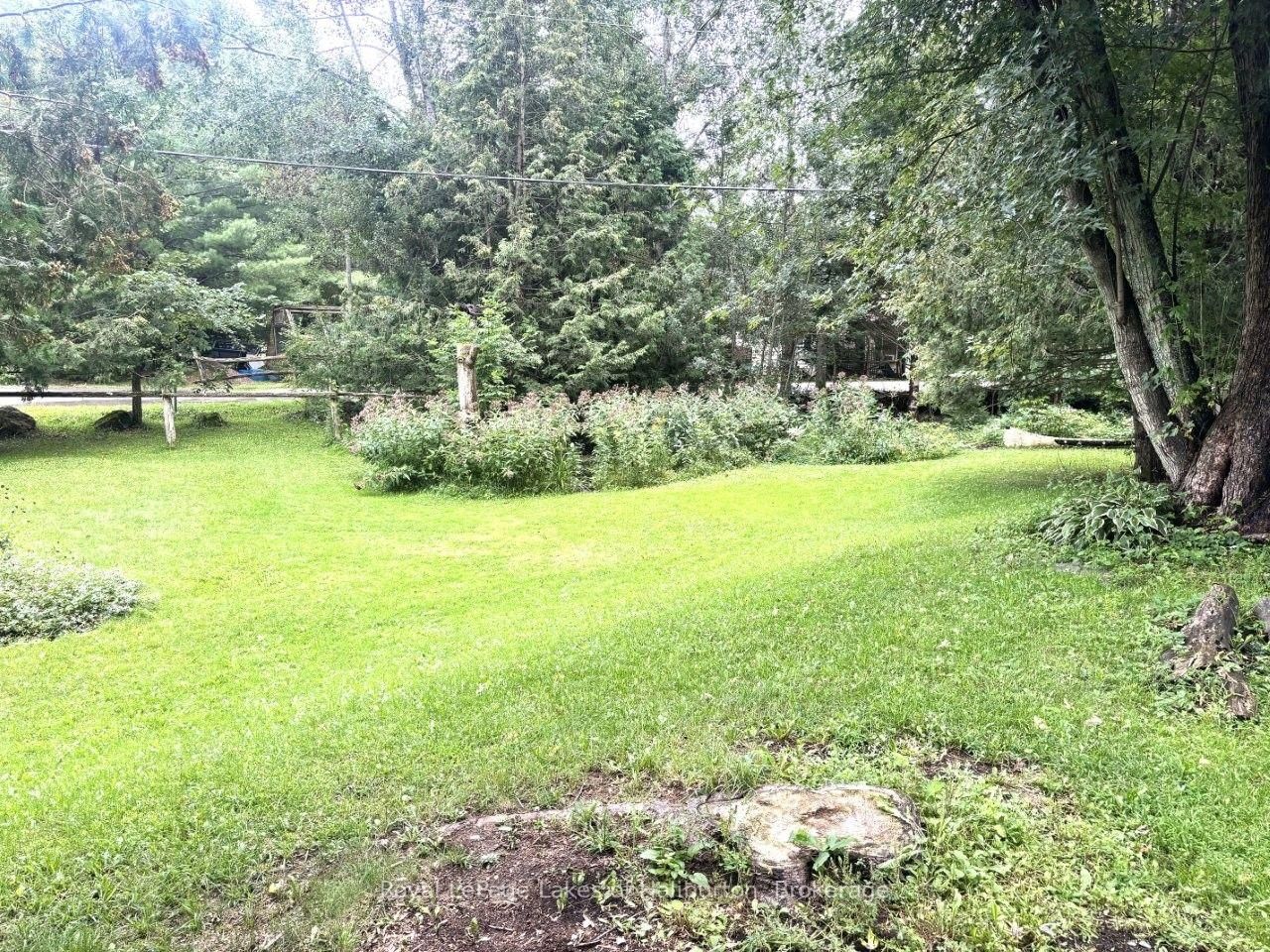 10 Nevison Drive • Kawartha Lakes, ON photo 31