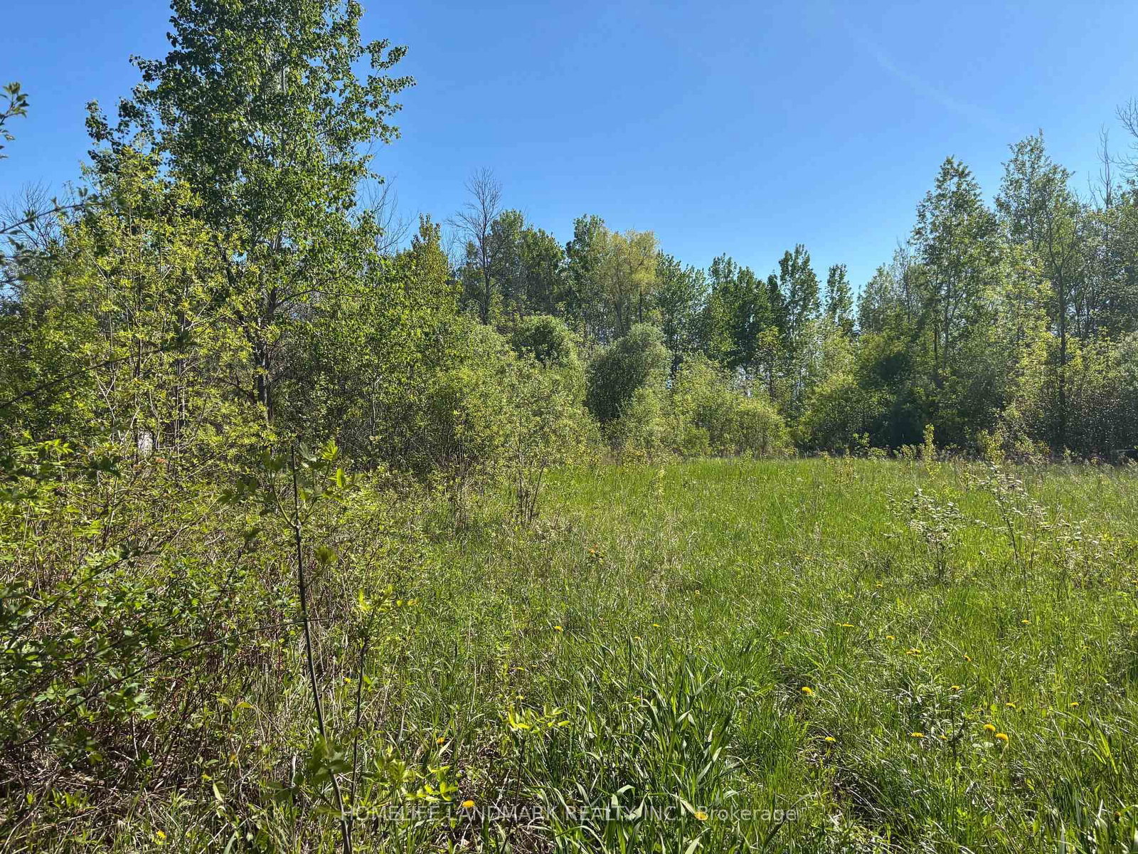 3485 Smith Road • South Stormont, ON photo 4