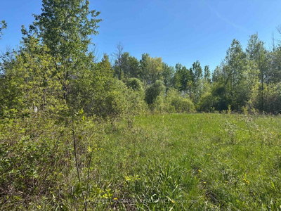 3485 Smith Road • South Stormont, ON photo 4