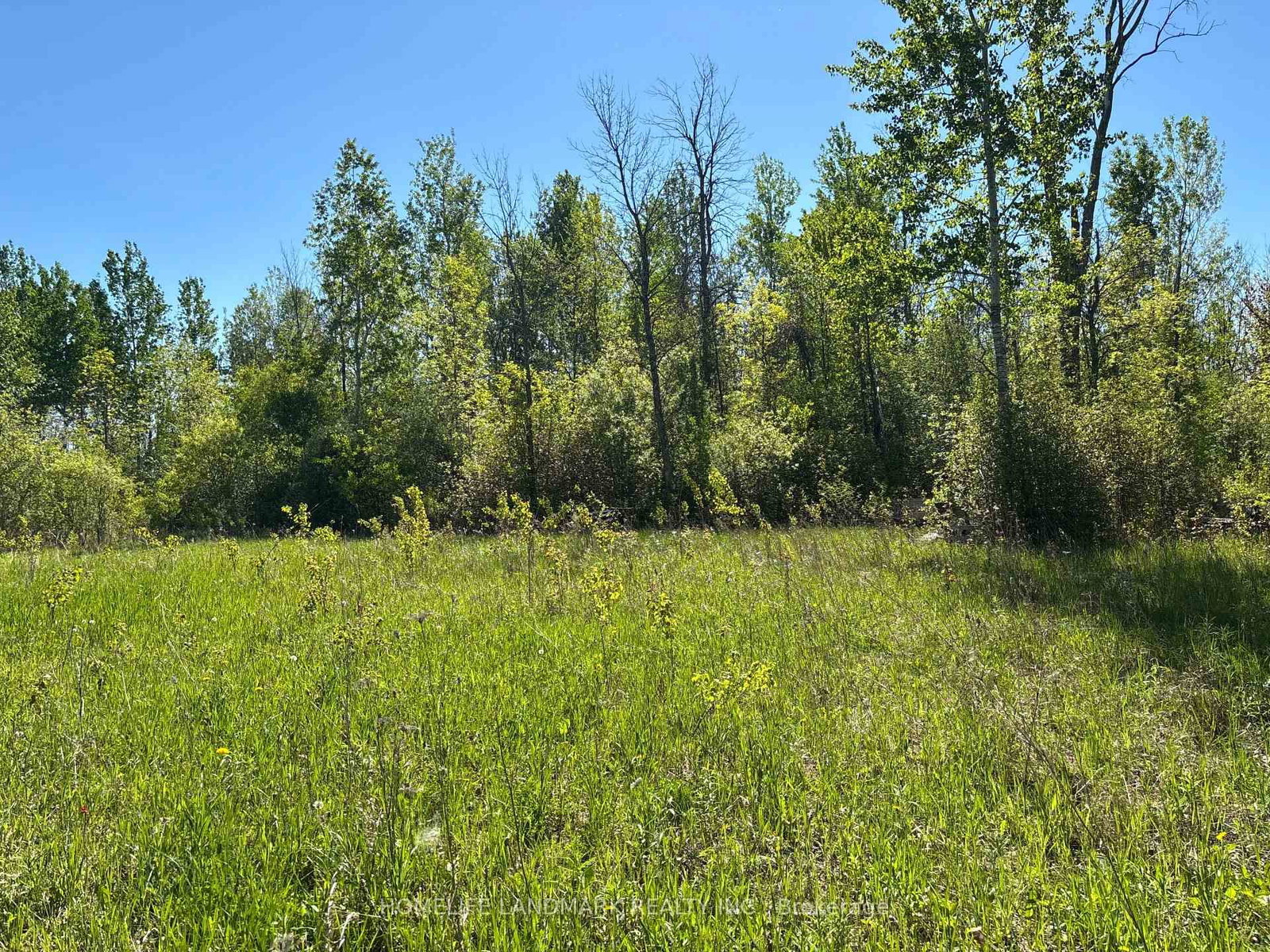 3485 Smith Road • South Stormont, ON photo 5