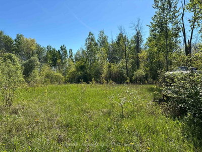 3485 Smith Road • South Stormont, ON photo 6
