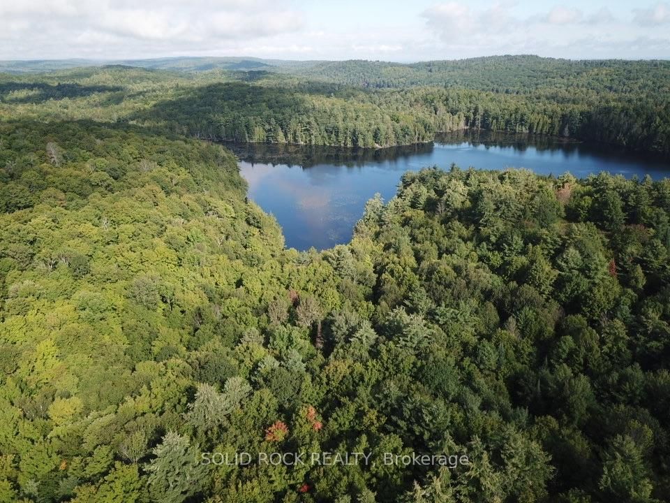 163 Mulvihill Farm Road • Renfrew, ON photo 1