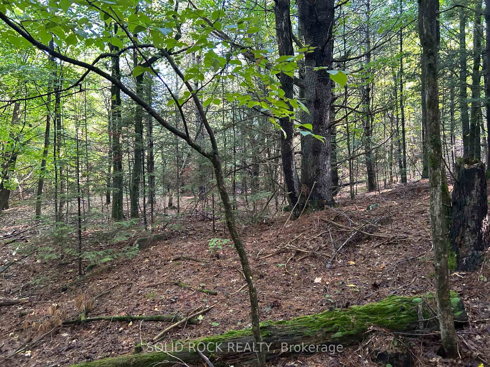 163 Mulvihill Farm Road • Renfrew, ON photo 10