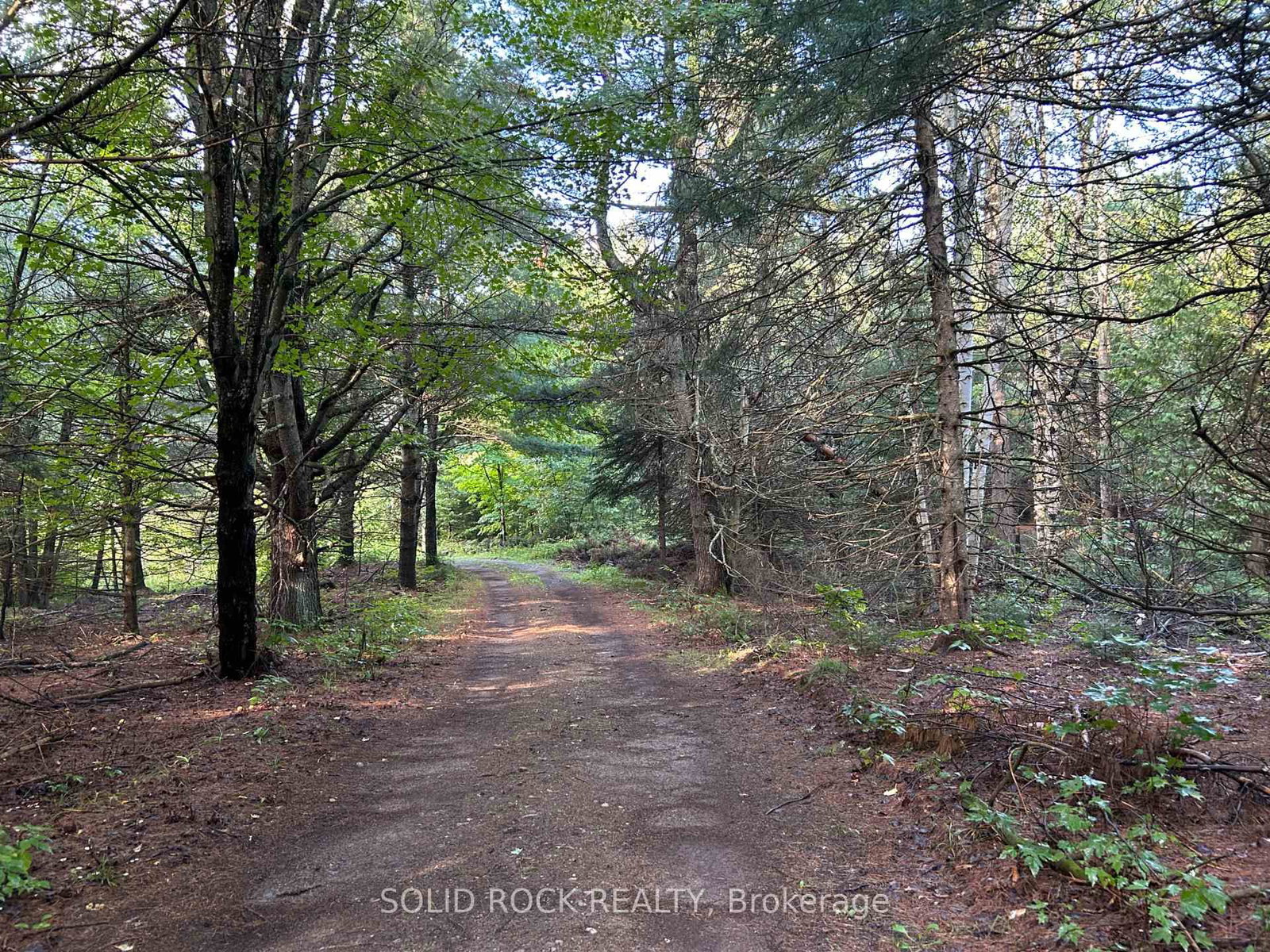 163 Mulvihill Farm Road • Renfrew, ON photo 11