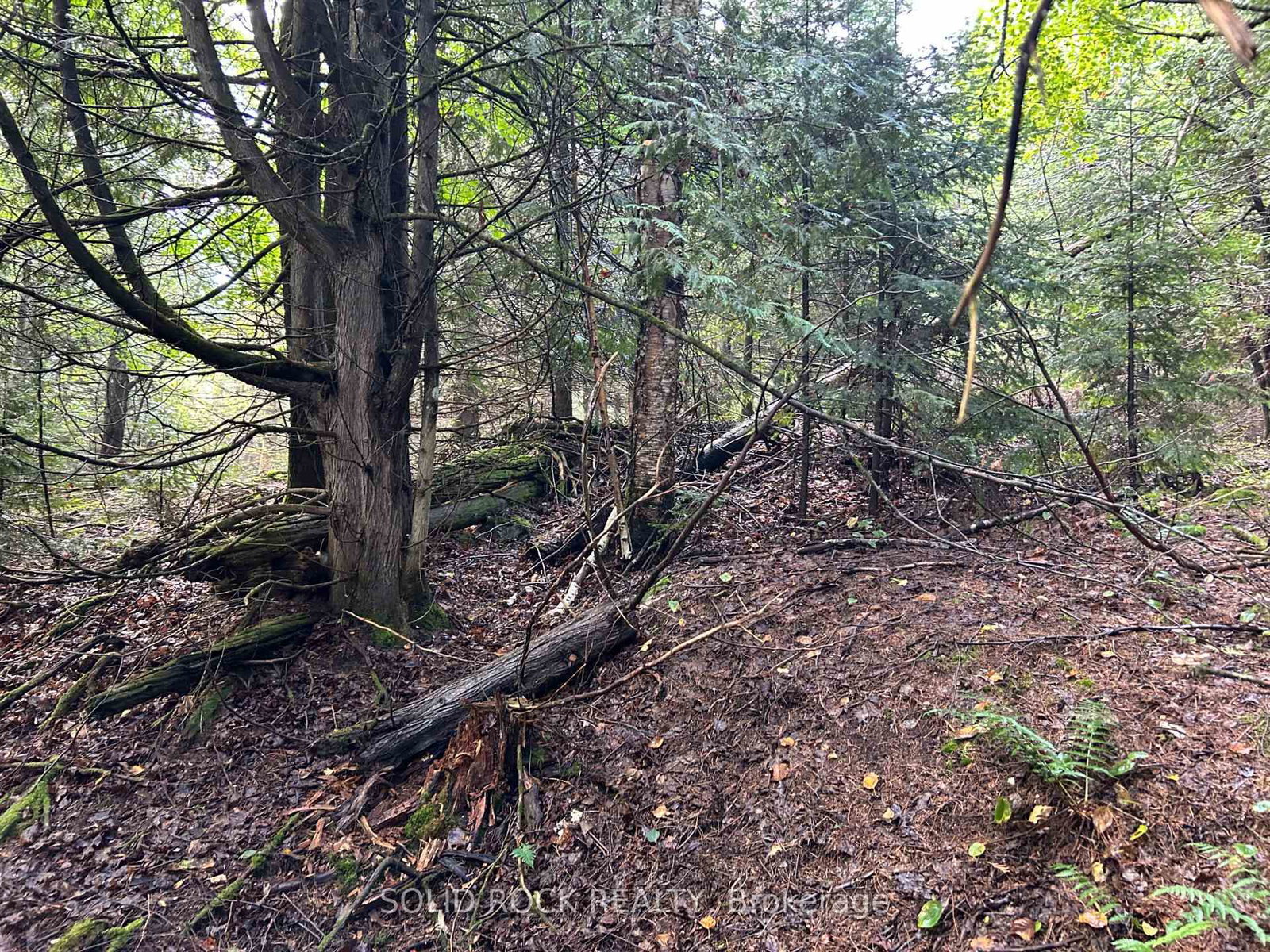 163 Mulvihill Farm Road • Renfrew, ON photo 12