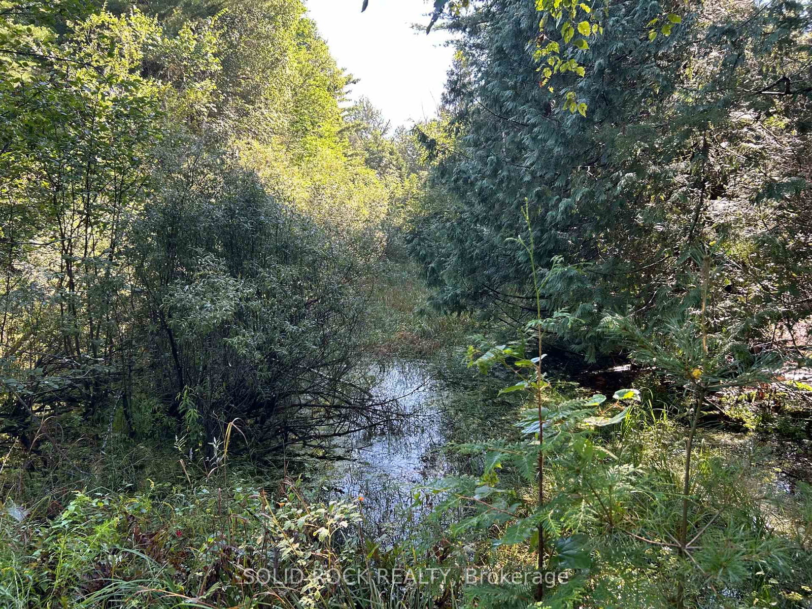 163 Mulvihill Farm Road • Renfrew, ON photo 13