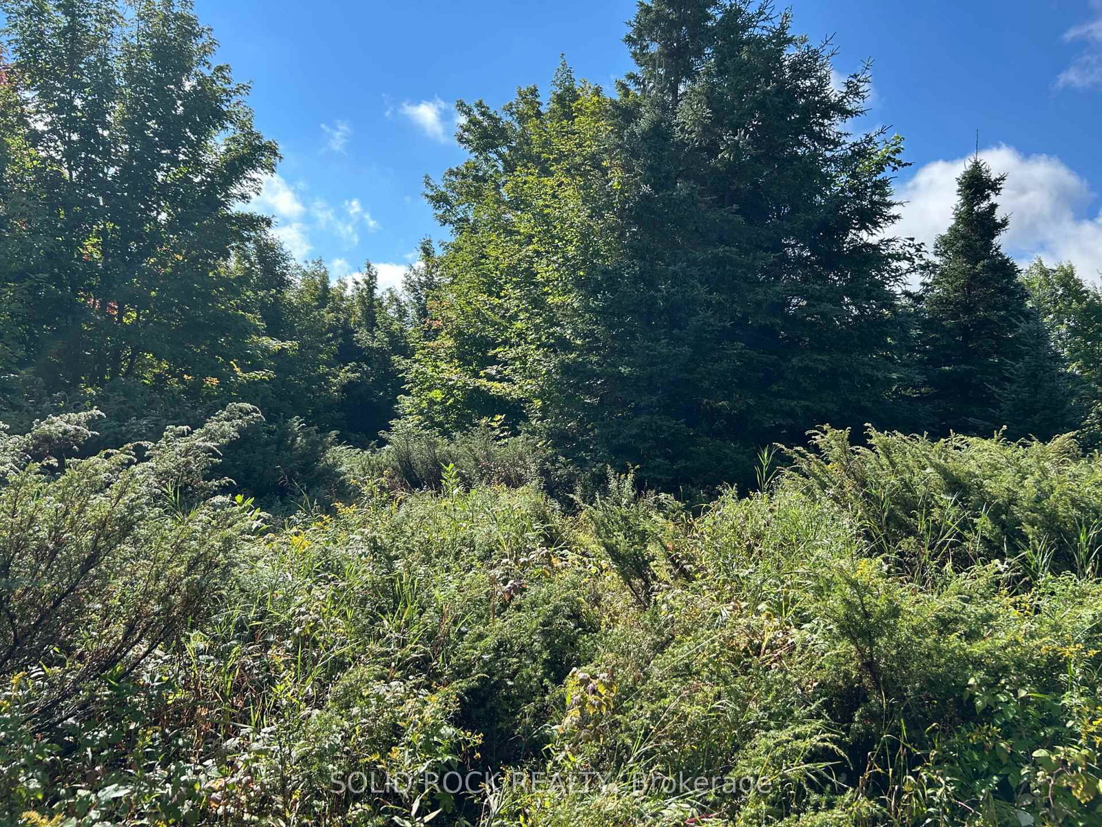 163 Mulvihill Farm Road • Renfrew, ON photo 16