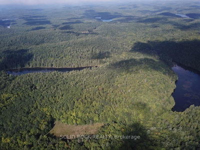 163 Mulvihill Farm Road • Renfrew, ON photo 3