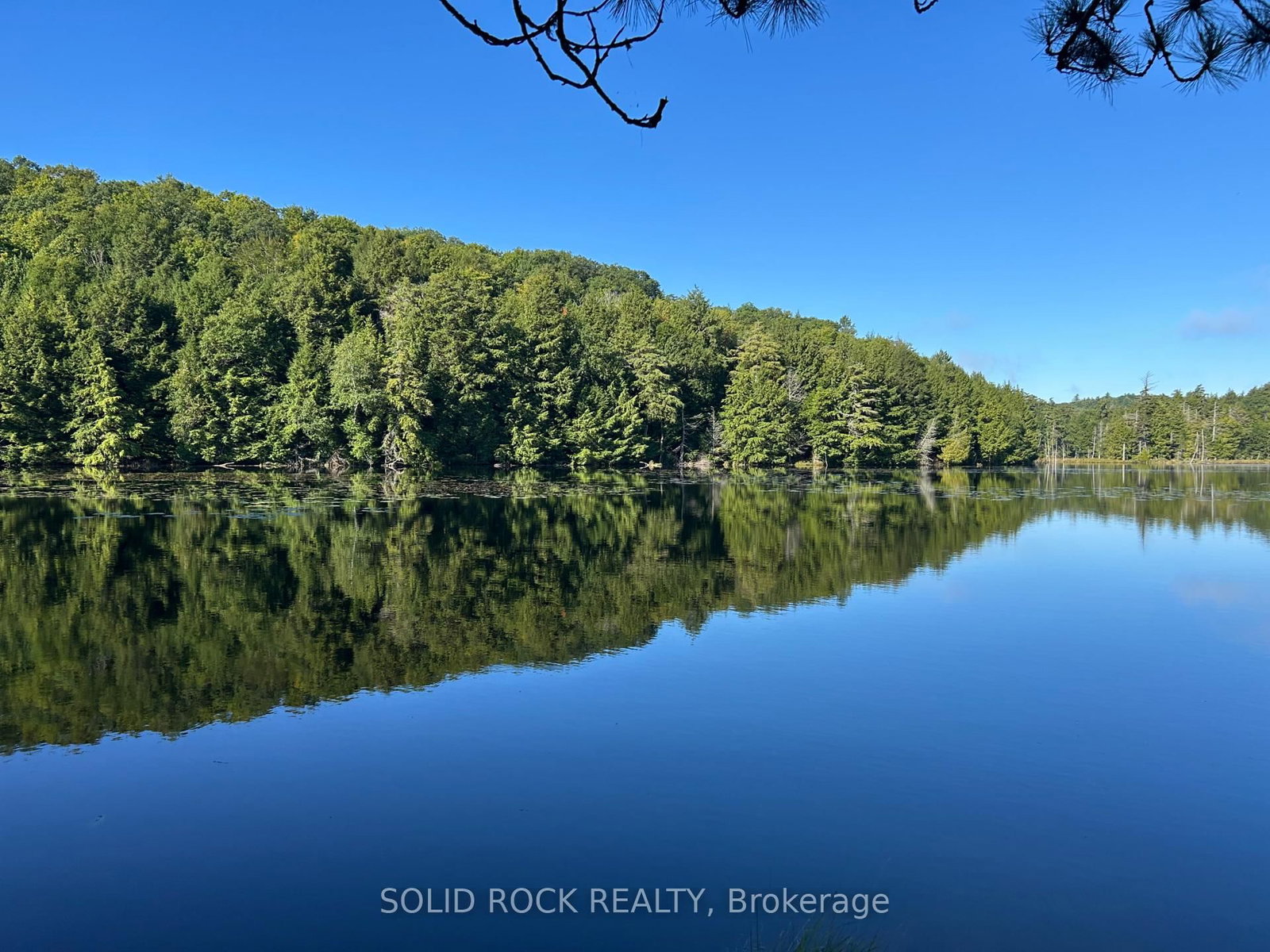 163 Mulvihill Farm Road • Renfrew, ON photo 7
