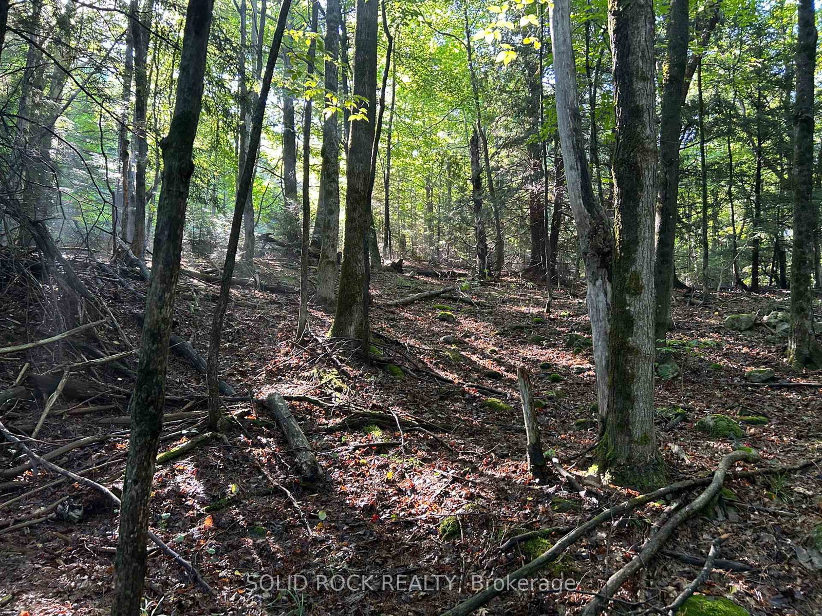 163 Mulvihill Farm Road • Renfrew, ON photo 9
