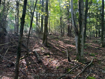 163 Mulvihill Farm Road • Renfrew, ON photo 9