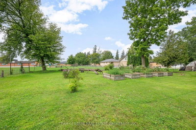 151 MAIN Street • North Middlesex, ON photo 5