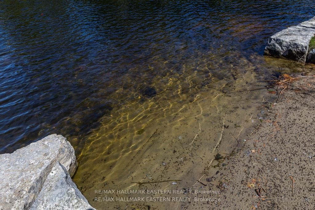 1810 Hull Road • Douro-Dummer, ON photo 35